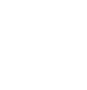 usaa logo white